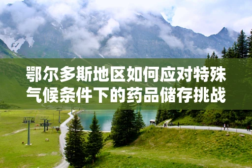 鄂尔多斯地区如何应对特殊气候条件下的药品储存挑战？