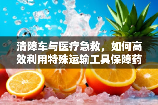 清障车与医疗急救，如何高效利用特殊运输工具保障药品供应？