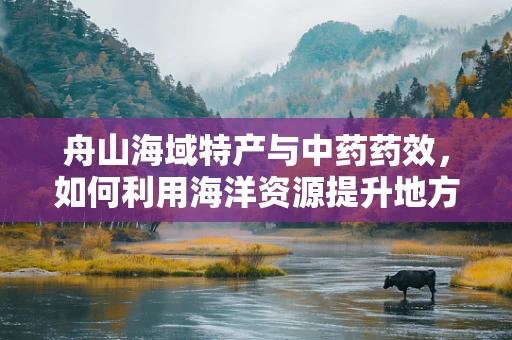 舟山海域特产与中药药效，如何利用海洋资源提升地方医疗保健？