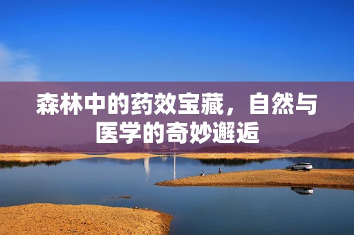 森林中的药效宝藏，自然与医学的奇妙邂逅
