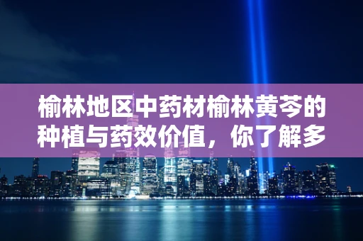 榆林地区中药材榆林黄芩的种植与药效价值，你了解多少？