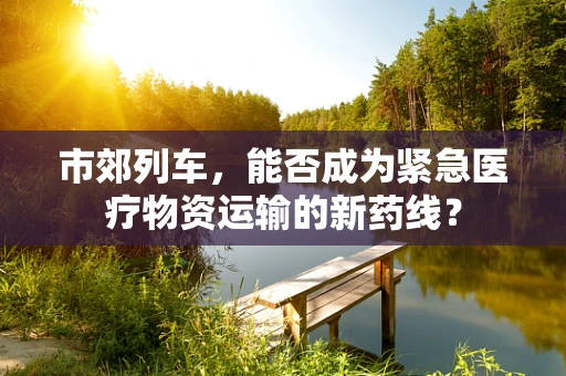 市郊列车，能否成为紧急医疗物资运输的新药线？
