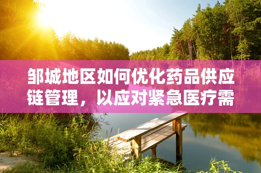 邹城地区如何优化药品供应链管理，以应对紧急医疗需求？