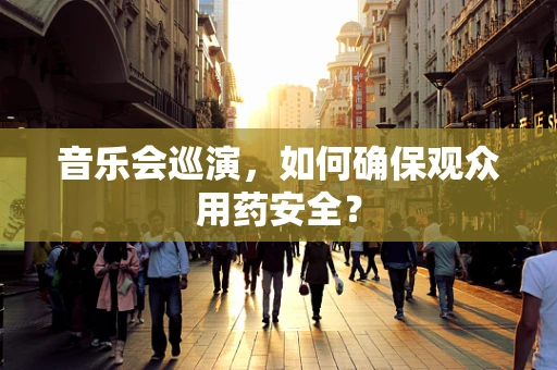 音乐会巡演，如何确保观众用药安全？