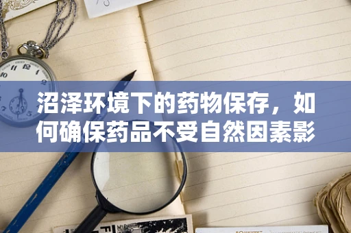 沼泽环境下的药物保存，如何确保药品不受自然因素影响？