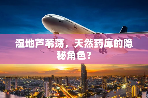 湿地芦苇荡，天然药库的隐秘角色？