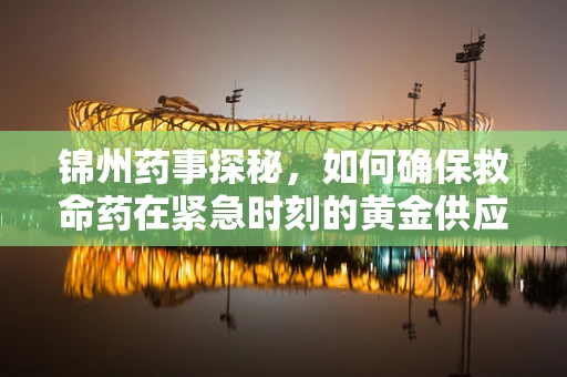 锦州药事探秘，如何确保救命药在紧急时刻的黄金供应？