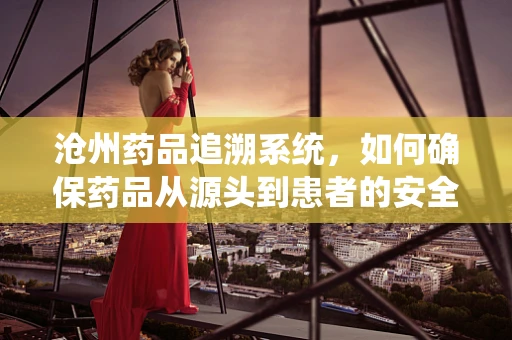 沧州药品追溯系统，如何确保药品从源头到患者的安全？