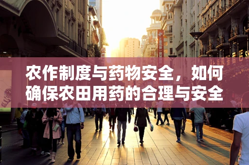 农作制度与药物安全，如何确保农田用药的合理与安全？