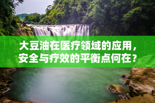 大豆油在医疗领域的应用，安全与疗效的平衡点何在？