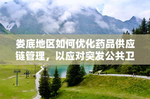 娄底地区如何优化药品供应链管理，以应对突发公共卫生事件？