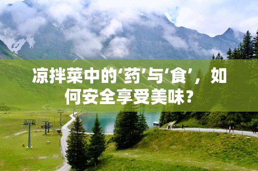 凉拌菜中的‘药’与‘食’，如何安全享受美味？