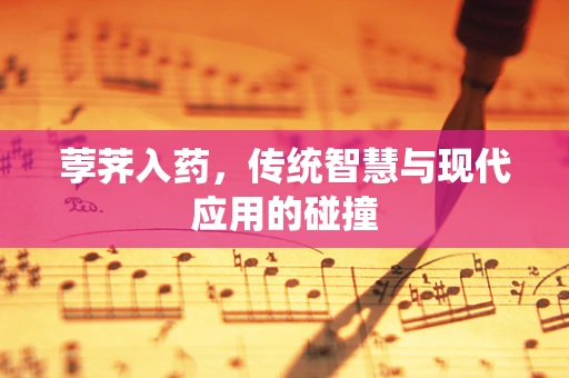 荸荠入药，传统智慧与现代应用的碰撞