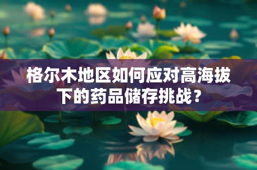 格尔木地区如何应对高海拔下的药品储存挑战？