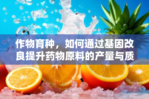 作物育种，如何通过基因改良提升药物原料的产量与质量？