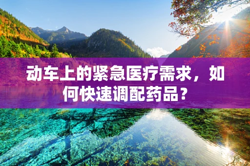 动车上的紧急医疗需求，如何快速调配药品？