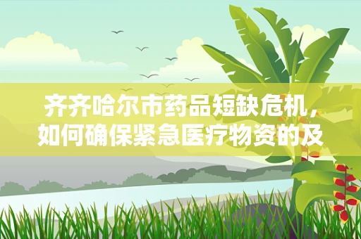 齐齐哈尔市药品短缺危机，如何确保紧急医疗物资的及时供应？
