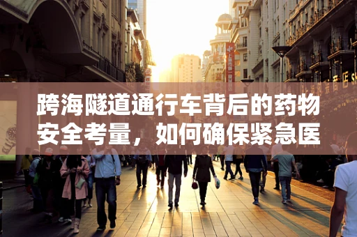 跨海隧道通行车背后的药物安全考量，如何确保紧急医疗物资的快速而安全输送？
