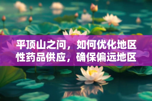平顶山之问，如何优化地区性药品供应，确保偏远地区医疗资源均衡？
