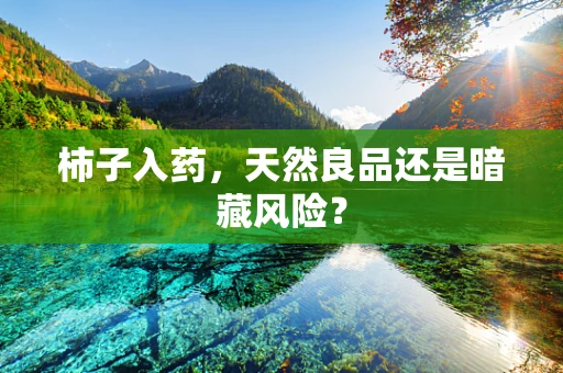 柿子入药，天然良品还是暗藏风险？