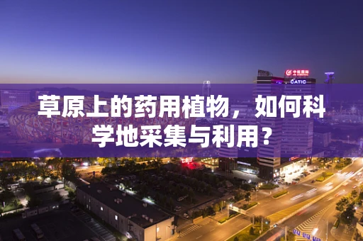 草原上的药用植物，如何科学地采集与利用？