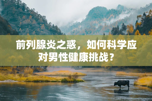 前列腺炎之惑，如何科学应对男性健康挑战？