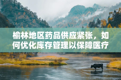 榆林地区药品供应紧张，如何优化库存管理以保障医疗需求？