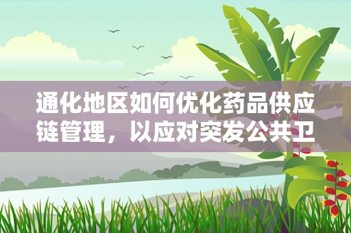 通化地区如何优化药品供应链管理，以应对突发公共卫生事件？
