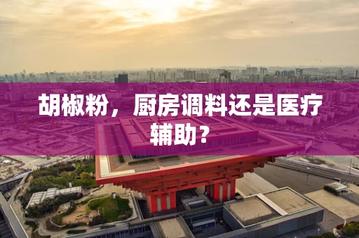 胡椒粉，厨房调料还是医疗辅助？