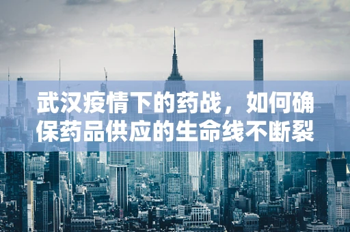 武汉疫情下的药战，如何确保药品供应的生命线不断裂？