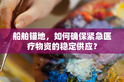 船舶锚地，如何确保紧急医疗物资的稳定供应？