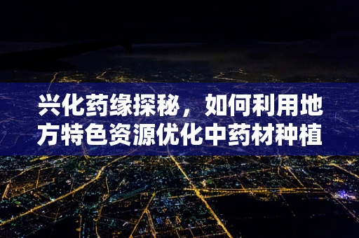兴化药缘探秘，如何利用地方特色资源优化中药材种植与药材质量控制？