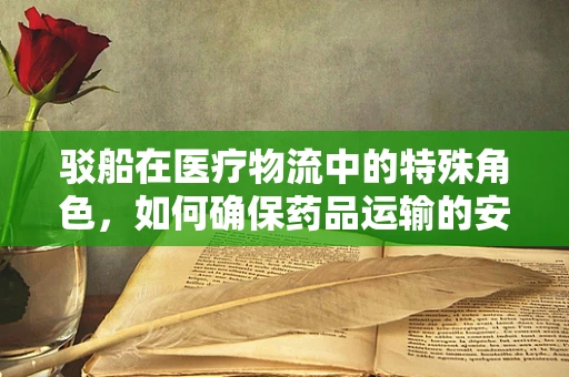驳船在医疗物流中的特殊角色，如何确保药品运输的安全与效率？