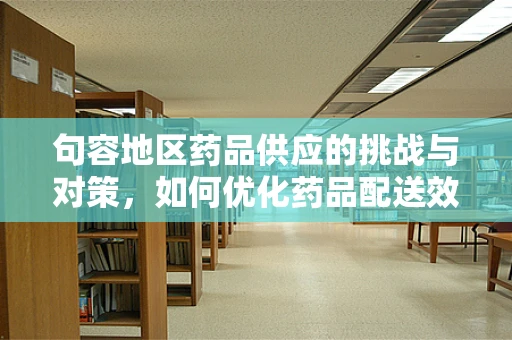 句容地区药品供应的挑战与对策，如何优化药品配送效率？