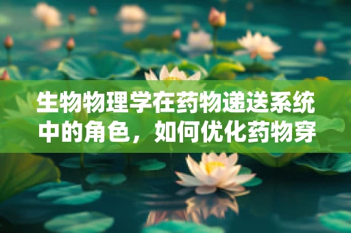 生物物理学在药物递送系统中的角色，如何优化药物穿透细胞膜的效率？