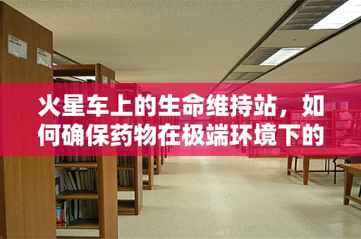 火星车上的生命维持站，如何确保药物在极端环境下的稳定性？