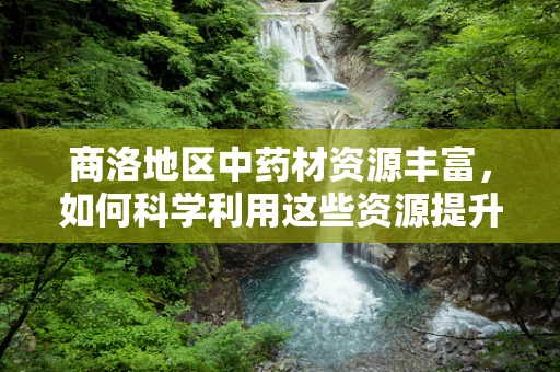 商洛地区中药材资源丰富，如何科学利用这些资源提升当地医药产业？