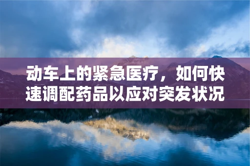 动车上的紧急医疗，如何快速调配药品以应对突发状况？