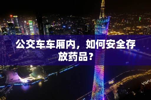 公交车车厢内，如何安全存放药品？