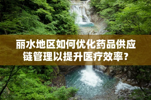 丽水地区如何优化药品供应链管理以提升医疗效率？