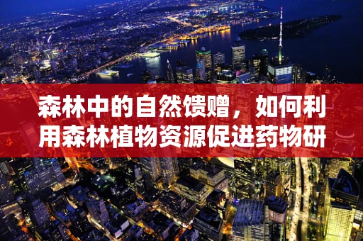 森林中的自然馈赠，如何利用森林植物资源促进药物研发？