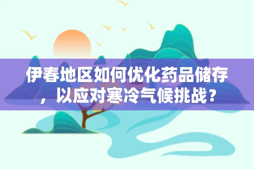 伊春地区如何优化药品储存，以应对寒冷气候挑战？