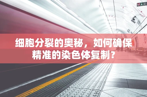 细胞分裂的奥秘，如何确保精准的染色体复制？