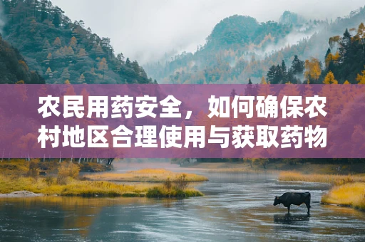 农民用药安全，如何确保农村地区合理使用与获取药物？