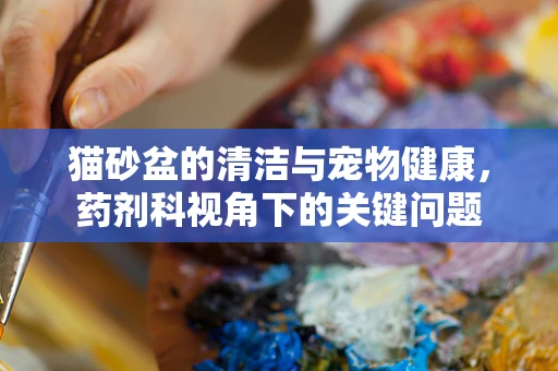 猫砂盆的清洁与宠物健康，药剂科视角下的关键问题