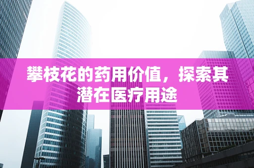 攀枝花的药用价值，探索其潜在医疗用途