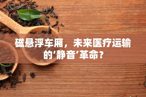 磁悬浮车厢，未来医疗运输的‘静音’革命？