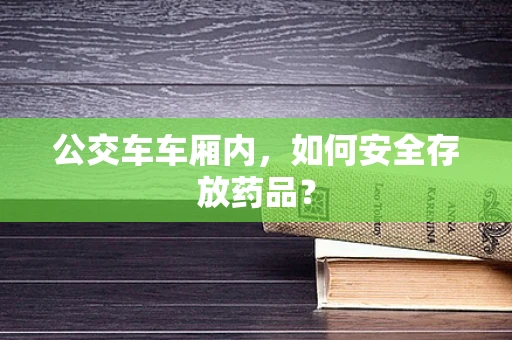 公交车车厢内，如何安全存放药品？