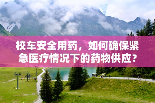 校车安全用药，如何确保紧急医疗情况下的药物供应？