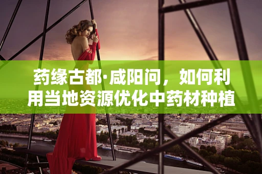 药缘古都·咸阳问，如何利用当地资源优化中药材种植，促进中医药发展？